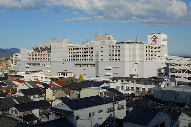 大規模実績