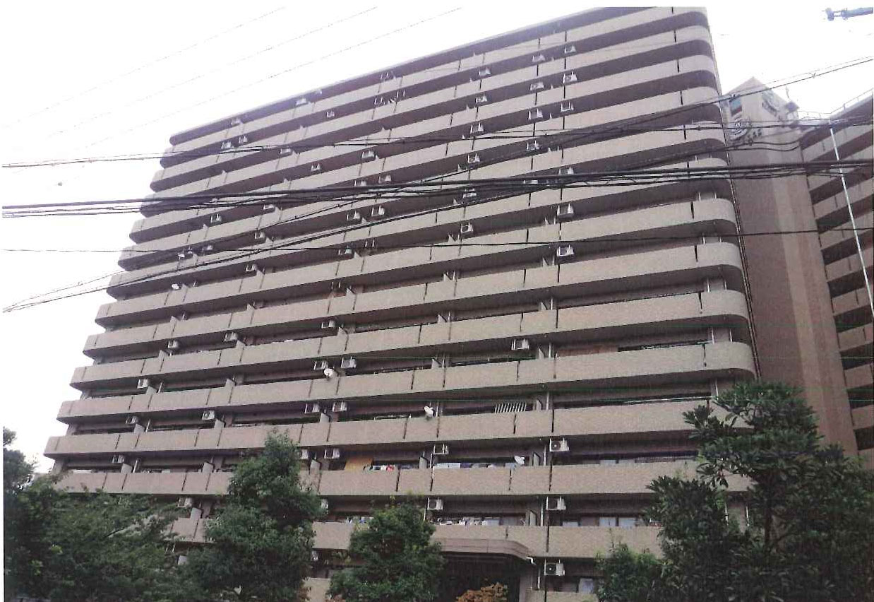 大規模竣工　西面