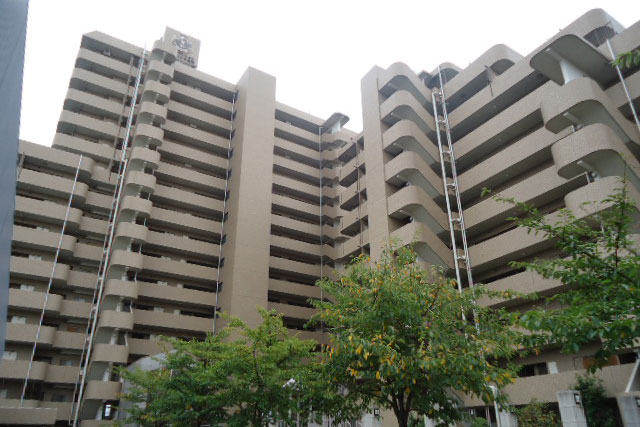 大規模実績