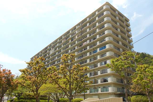 大規模実績